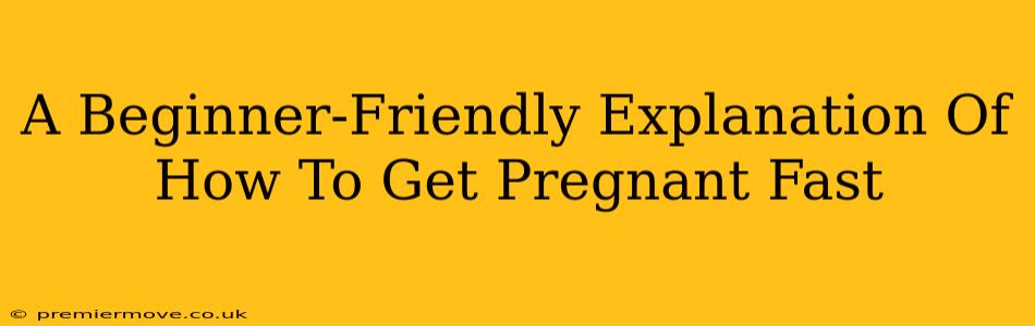 A Beginner-Friendly Explanation Of How To Get Pregnant Fast