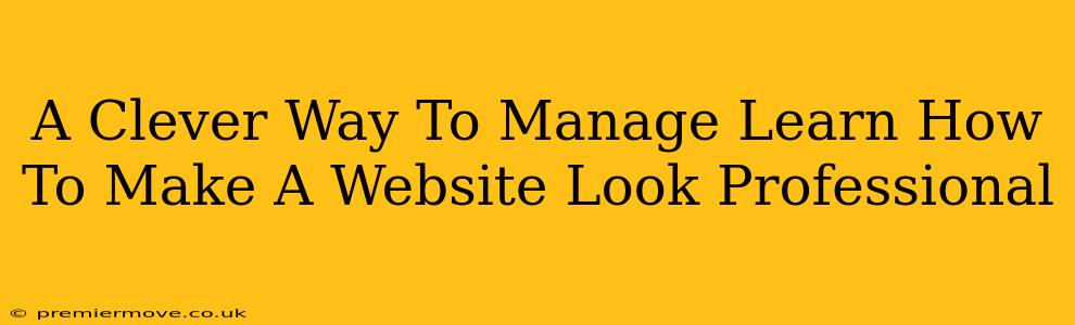 A Clever Way To Manage Learn How To Make A Website Look Professional