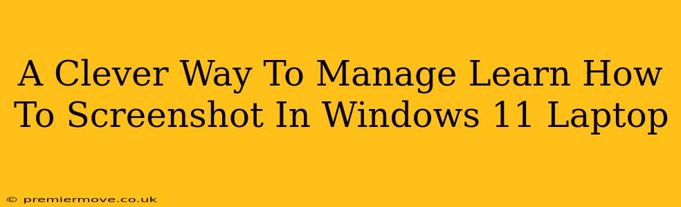A Clever Way To Manage Learn How To Screenshot In Windows 11 Laptop