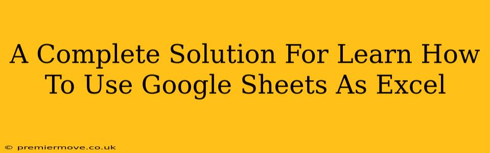 A Complete Solution For Learn How To Use Google Sheets As Excel