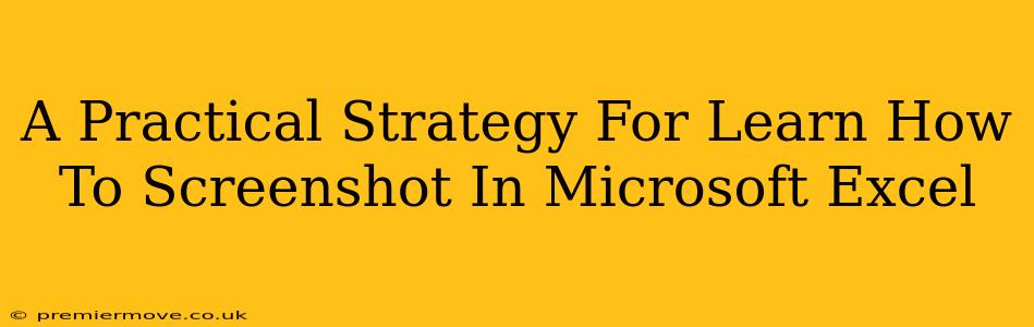 A Practical Strategy For Learn How To Screenshot In Microsoft Excel