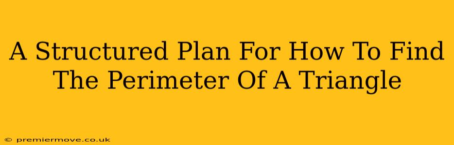 A Structured Plan For How To Find The Perimeter Of A Triangle