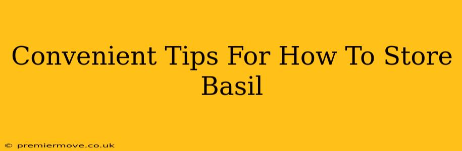 Convenient Tips For How To Store Basil