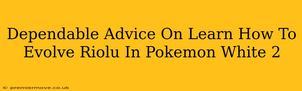 Dependable Advice On Learn How To Evolve Riolu In Pokemon White 2