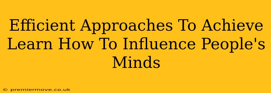 Efficient Approaches To Achieve Learn How To Influence People's Minds