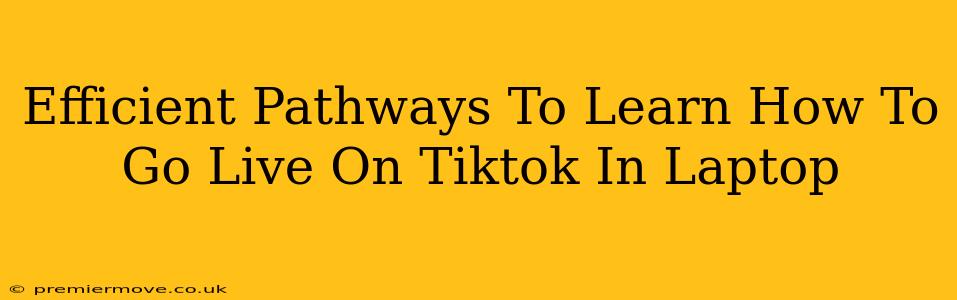 Efficient Pathways To Learn How To Go Live On Tiktok In Laptop