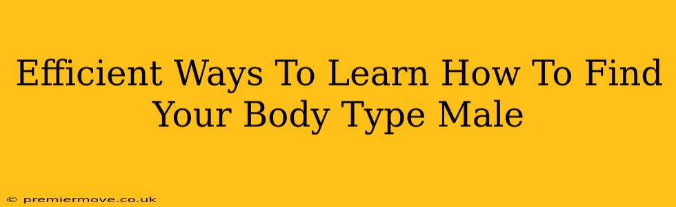 Efficient Ways To Learn How To Find Your Body Type Male