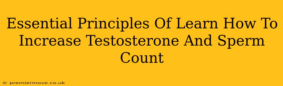 Essential Principles Of Learn How To Increase Testosterone And Sperm Count