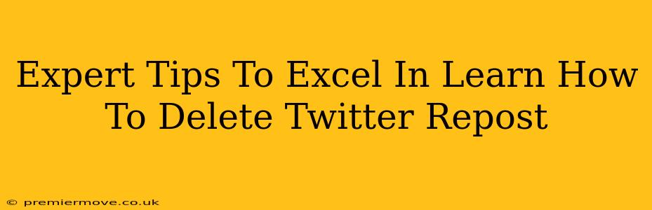 Expert Tips To Excel In Learn How To Delete Twitter Repost