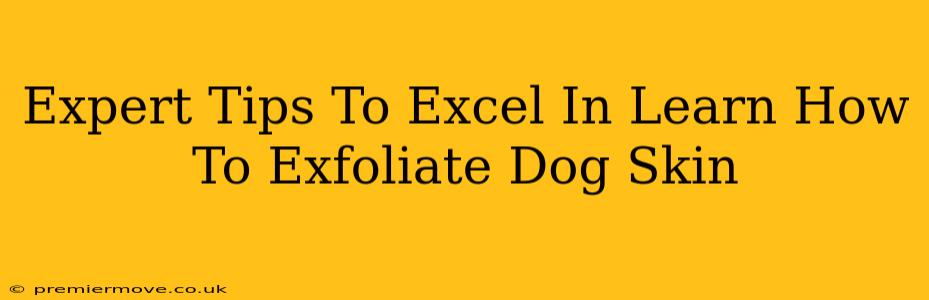 Expert Tips To Excel In Learn How To Exfoliate Dog Skin