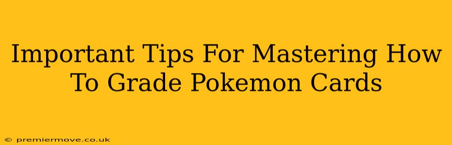 Important Tips For Mastering How To Grade Pokemon Cards