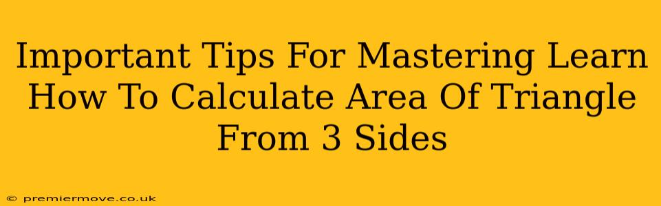 Important Tips For Mastering Learn How To Calculate Area Of Triangle From 3 Sides