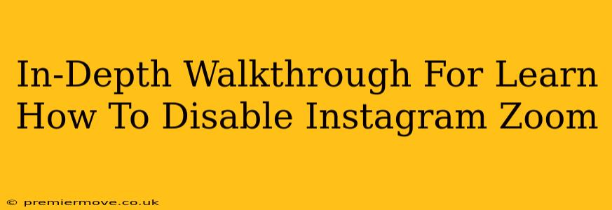 In-Depth Walkthrough For Learn How To Disable Instagram Zoom