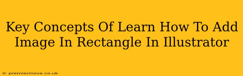 Key Concepts Of Learn How To Add Image In Rectangle In Illustrator