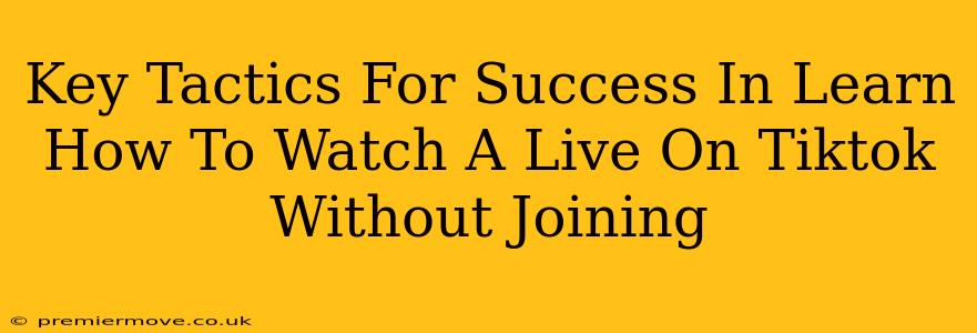 Key Tactics For Success In Learn How To Watch A Live On Tiktok Without Joining