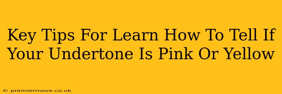 Key Tips For Learn How To Tell If Your Undertone Is Pink Or Yellow