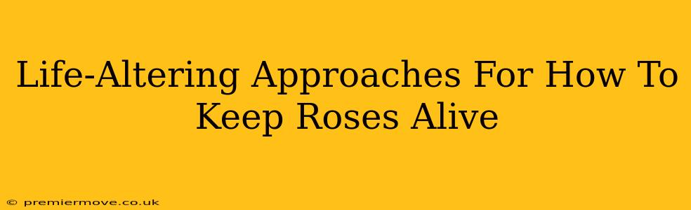 Life-Altering Approaches For How To Keep Roses Alive