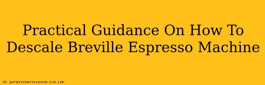 Practical Guidance On How To Descale Breville Espresso Machine