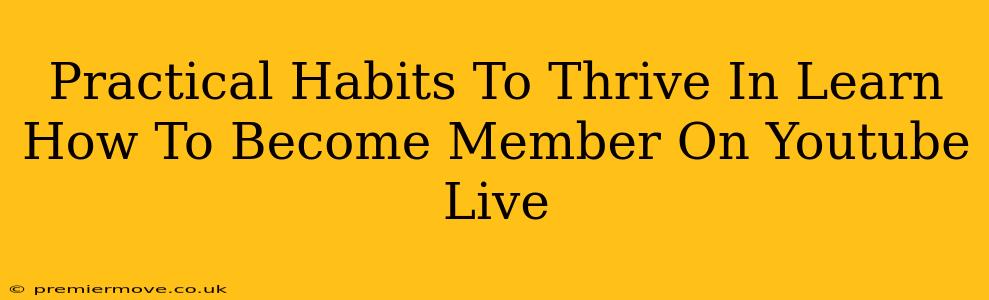 Practical Habits To Thrive In Learn How To Become Member On Youtube Live