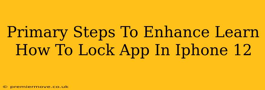 Primary Steps To Enhance Learn How To Lock App In Iphone 12