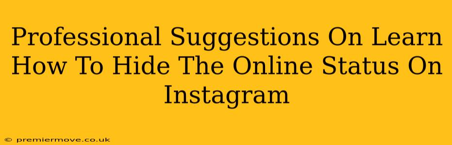 Professional Suggestions On Learn How To Hide The Online Status On Instagram