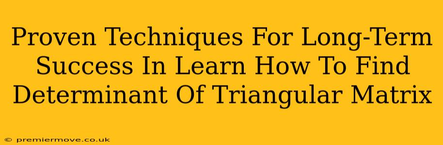 Proven Techniques For Long-Term Success In Learn How To Find Determinant Of Triangular Matrix