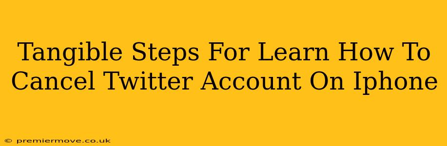 Tangible Steps For Learn How To Cancel Twitter Account On Iphone