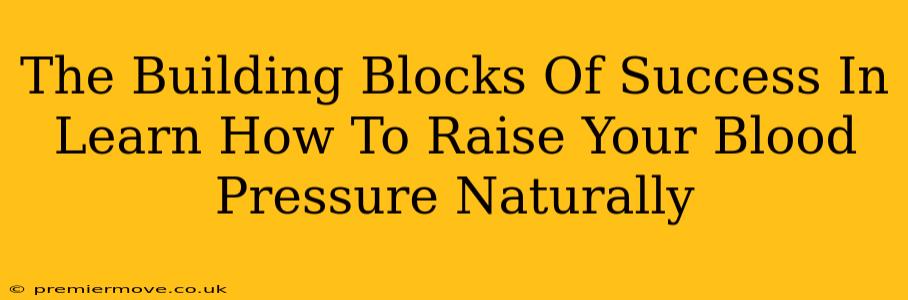 The Building Blocks Of Success In Learn How To Raise Your Blood Pressure Naturally