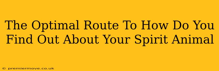 The Optimal Route To How Do You Find Out About Your Spirit Animal