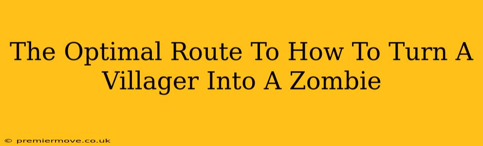 The Optimal Route To How To Turn A Villager Into A Zombie