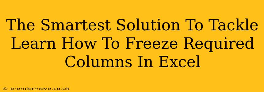 The Smartest Solution To Tackle Learn How To Freeze Required Columns In Excel