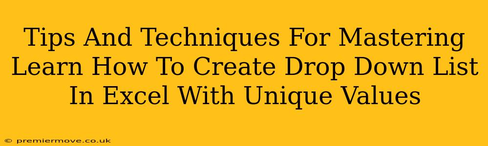 Tips And Techniques For Mastering Learn How To Create Drop Down List In Excel With Unique Values