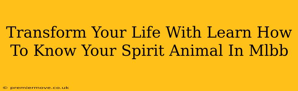 Transform Your Life With Learn How To Know Your Spirit Animal In Mlbb